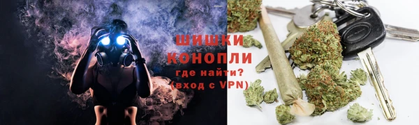 дмт Переславль-Залесский