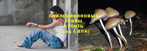 дживик Пересвет