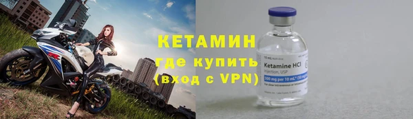 дживик Пересвет