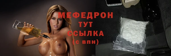 дживик Пересвет