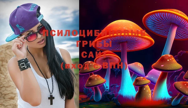 дживик Пересвет
