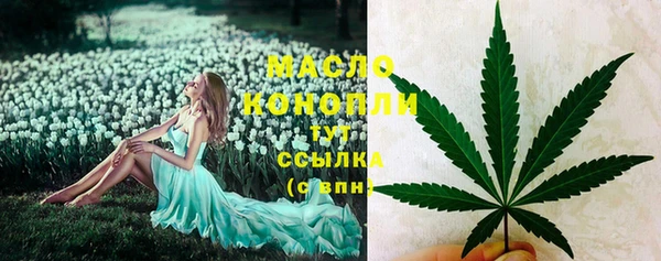 гидра Покачи