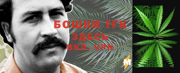 дмт Переславль-Залесский