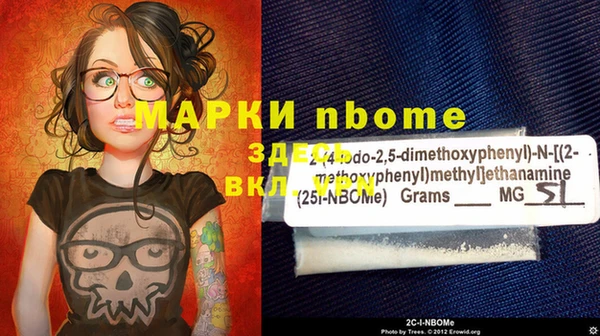 дживик Пересвет