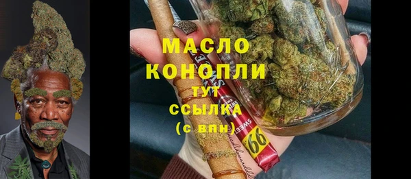 дмт Переславль-Залесский