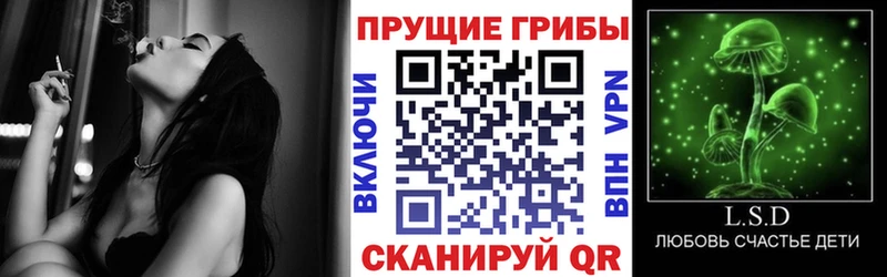 наркошоп Уржум Галлюциногенные грибы мицелий